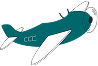 SR-22 Icon